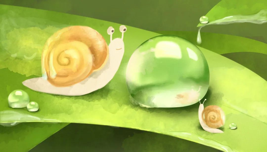 不会生气的蜗牛,生气的蜗牛