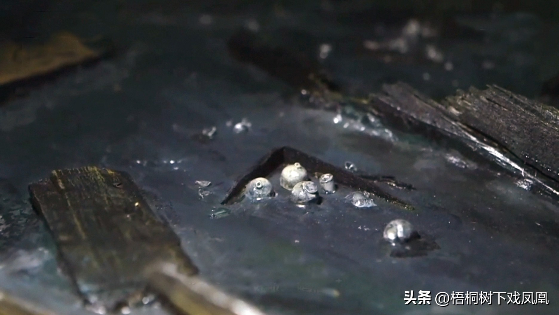 华光礁1号沉船古瓷,沉船古瓷