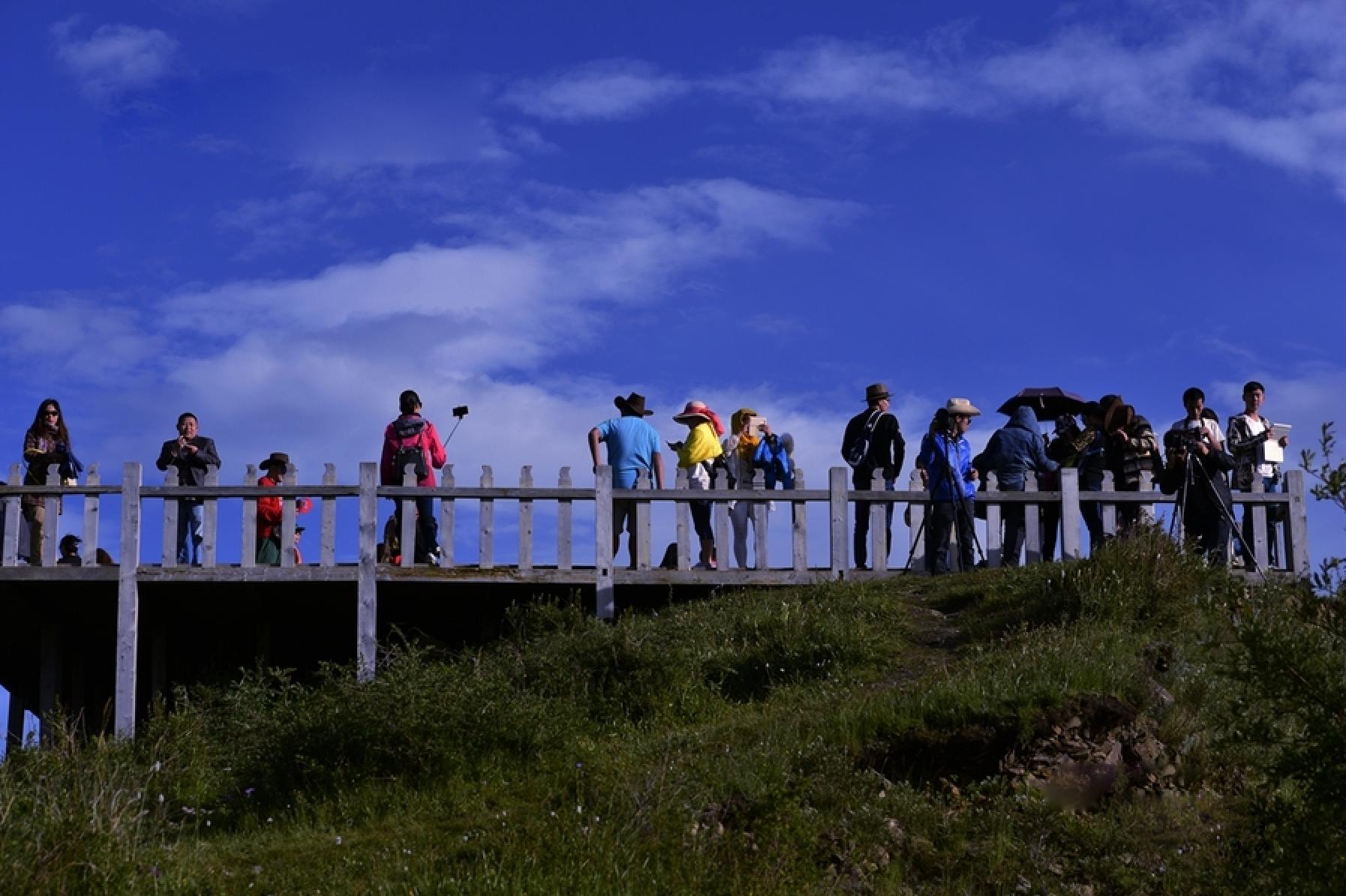 摄影新手入门用微单还是卡片机,玩转手机摄影人像教学