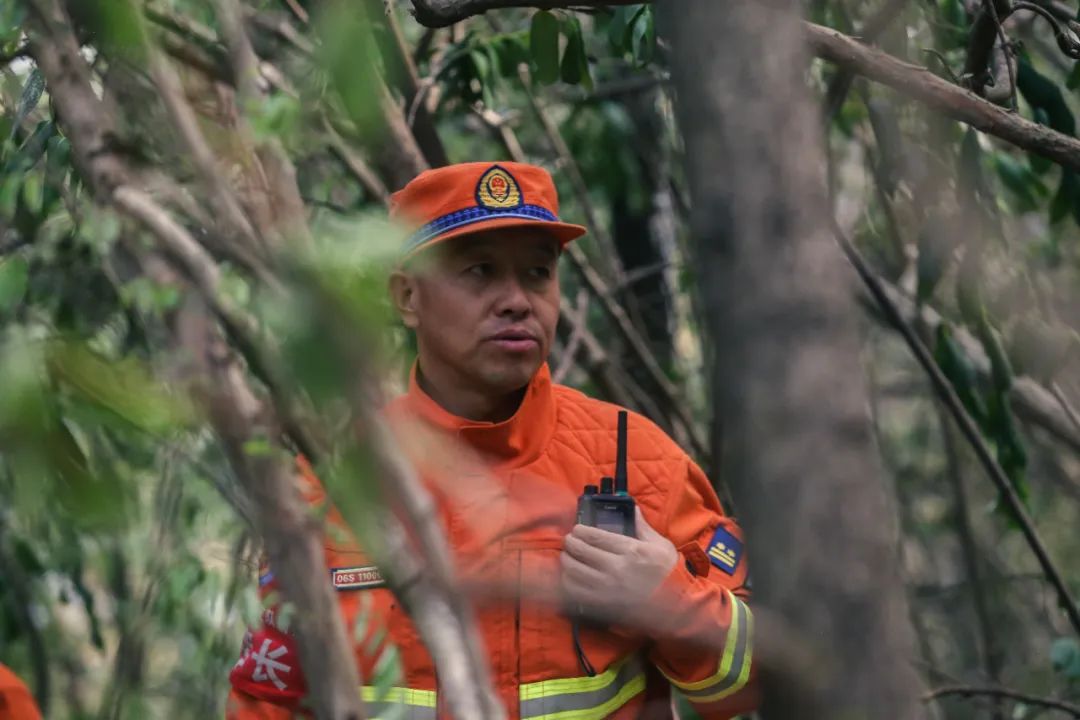 森林消防员应该怎么考,云南森林消防员训练