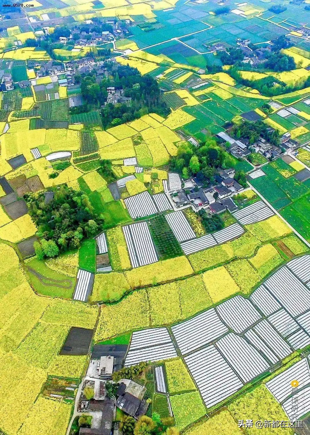 高质量发展新质生产力,高质量发展的高标准高起点