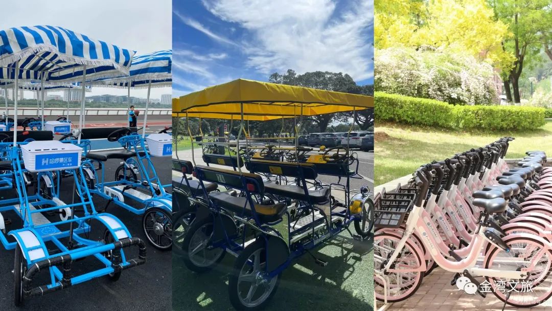 划艇露营,划艇露营视频大全