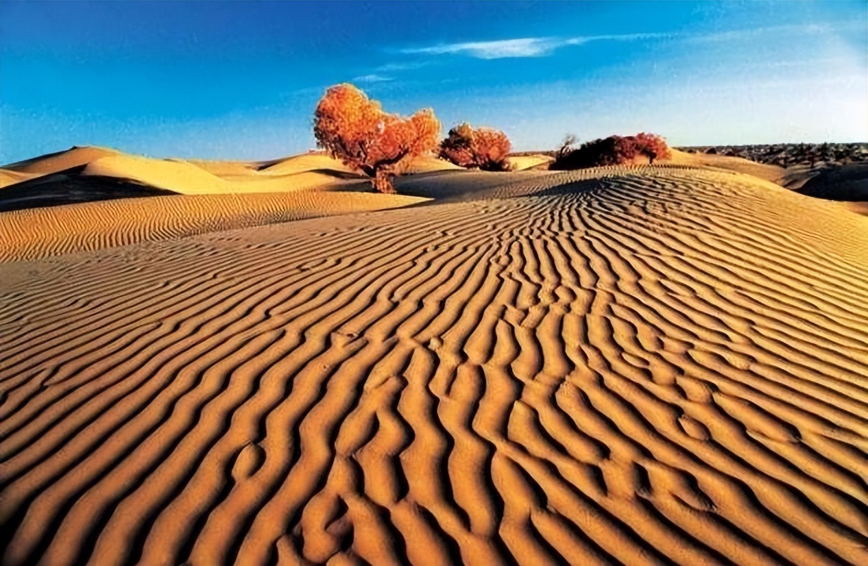 塔克拉玛干沙漠出现神秘湖泊,塔克拉玛干沙漠出现湖泊原因