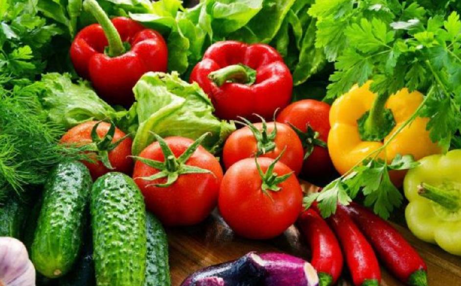 日本人租山东1500亩地赚钱了吗,日本人在山东租地1500亩闲置5年