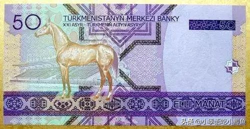 一匹马2000万，有人为它不惜挑起两国战争！真宝马阿哈尔捷金马