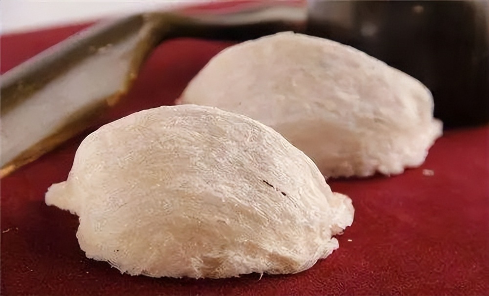 燕窝知识,燕窝知识演讲