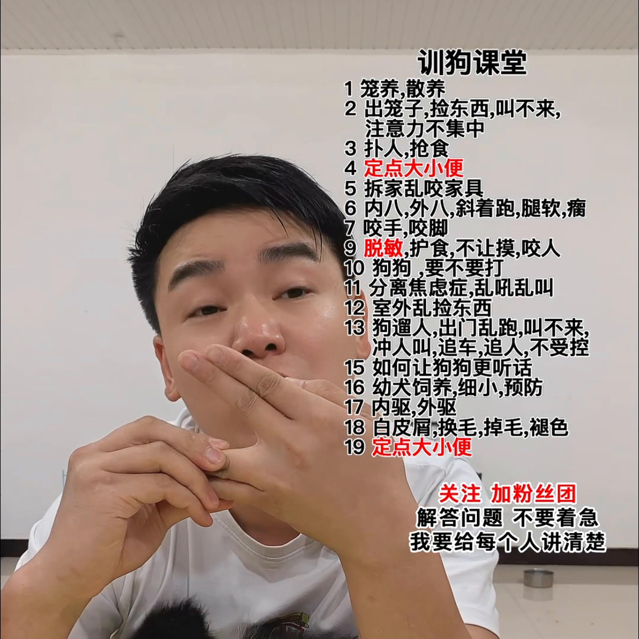 如何改正狗狗咬手磨牙,狗狗磨牙棒能避免咬人吗