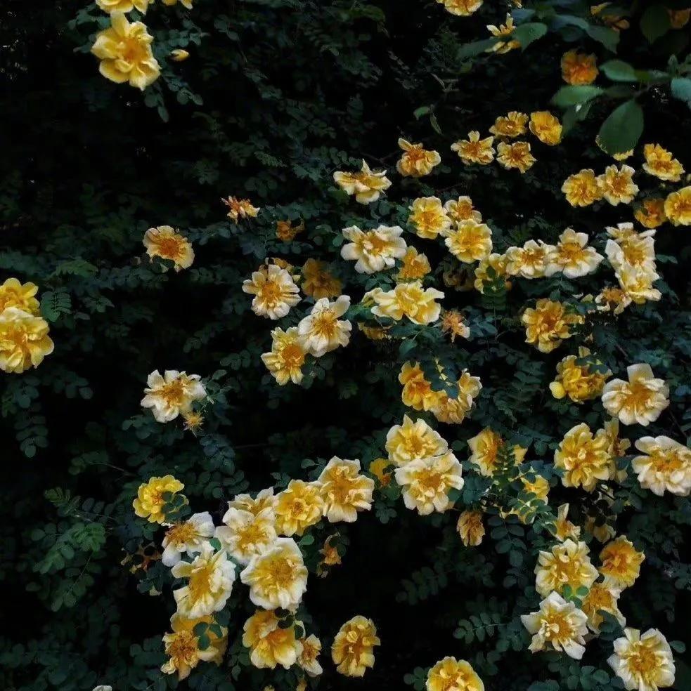 聚散随缘半点不由人,聚散无时终有时