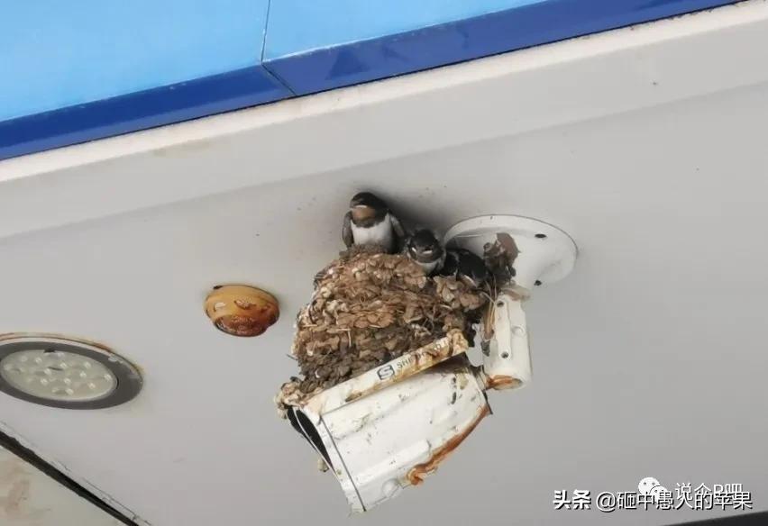 涿州河北省涿州市,涿州三个渔夫