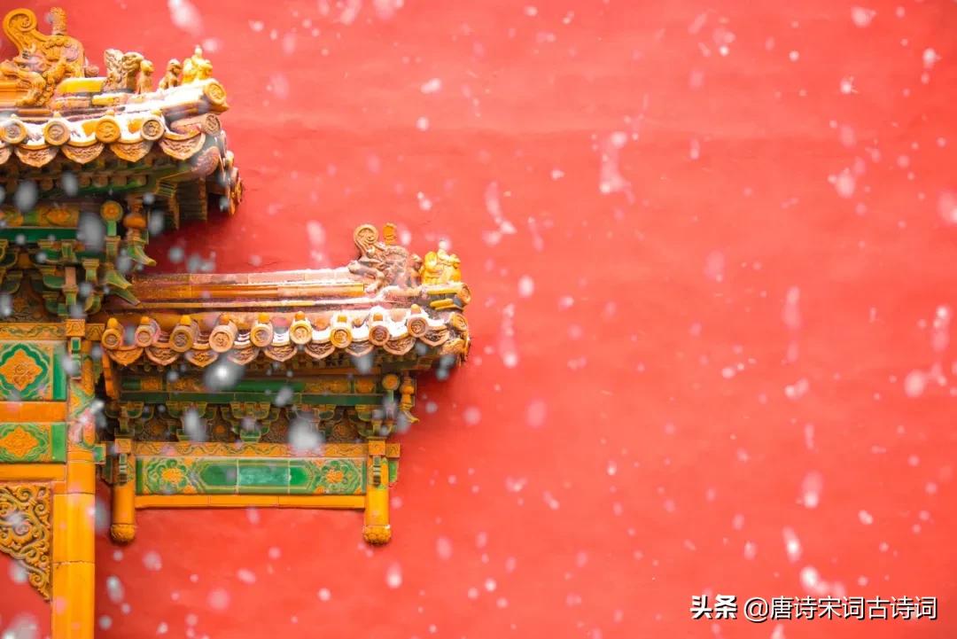 带你去看一场春雪,来吧去看一场雪