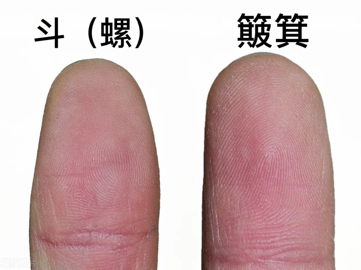 俗语一螺穷二螺富接下来是什么,一螺穷二螺富顺口溜是什么意思