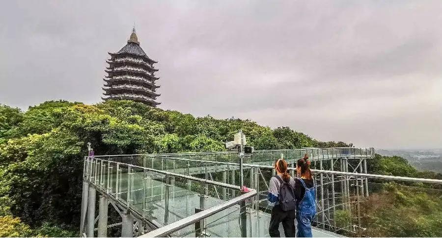 湛江哪个县级市有发展潜力,为什么湛江廉江是最发达的一个区