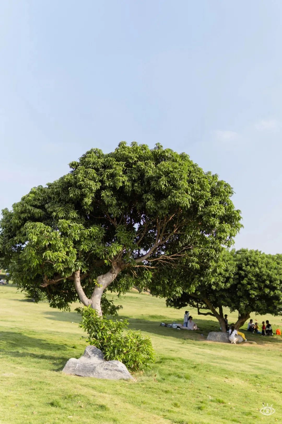 深圳免费露营的公园推荐,深圳22个露营公园