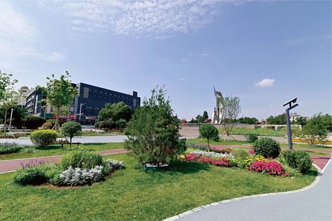 【聚焦*会两**】回民区:践行绿色发展理念共建生态宜居城区