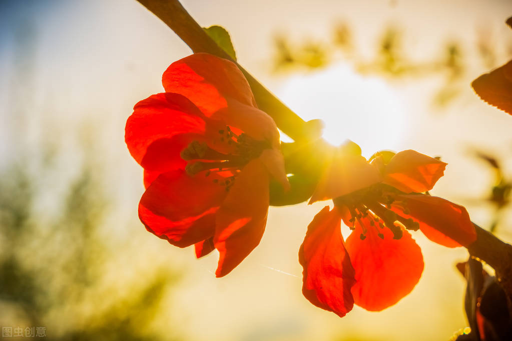 人老了才明白，兄弟之间结仇，是有原因的