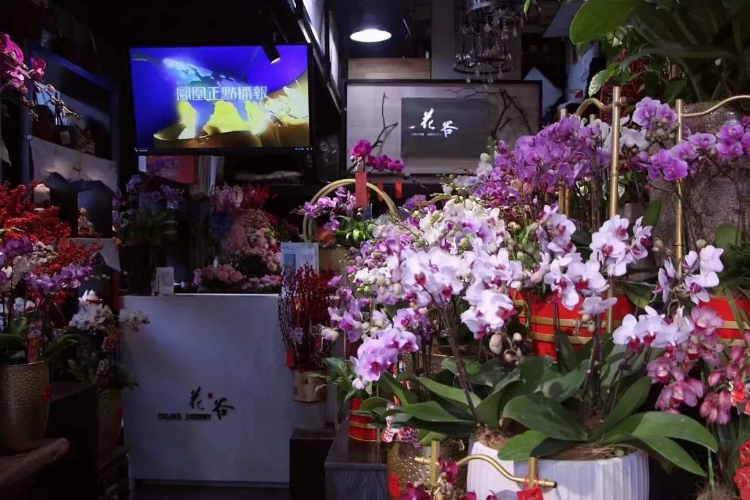 对标日本青山花店，做高端传统插花，这家70平方米花店生意火了！
