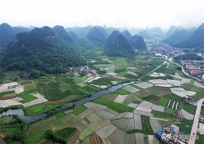 广西融安绘就美丽乡村画卷感想,融安泗顶田园航拍