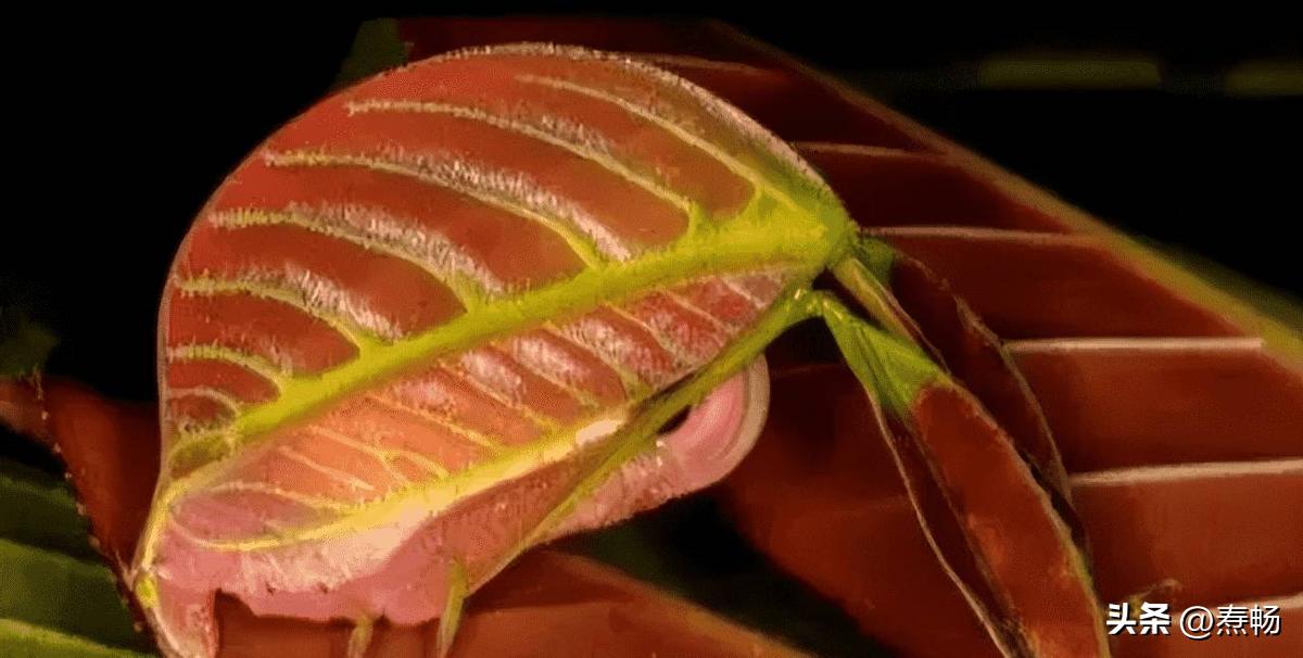 【晚清风情展】30张老照片展现花楼女子媚态，丰乳肥臀