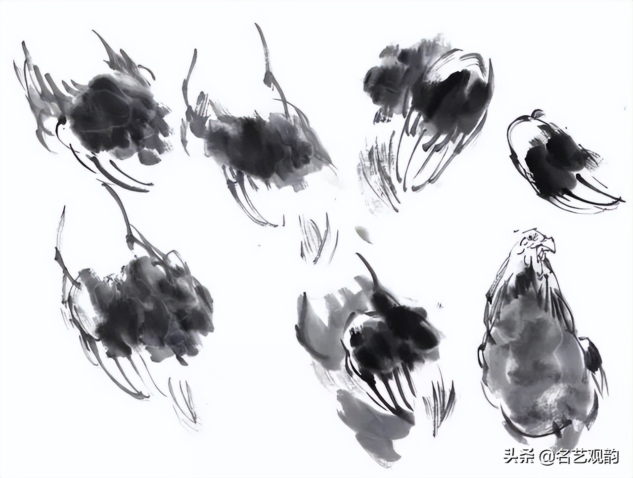 十二生肖鸡画法步骤,鸡的画法简笔画步骤