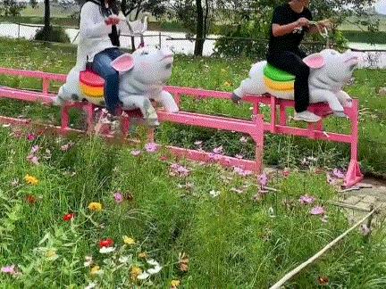 香草伊甸园景区最佳花开期,转发此文