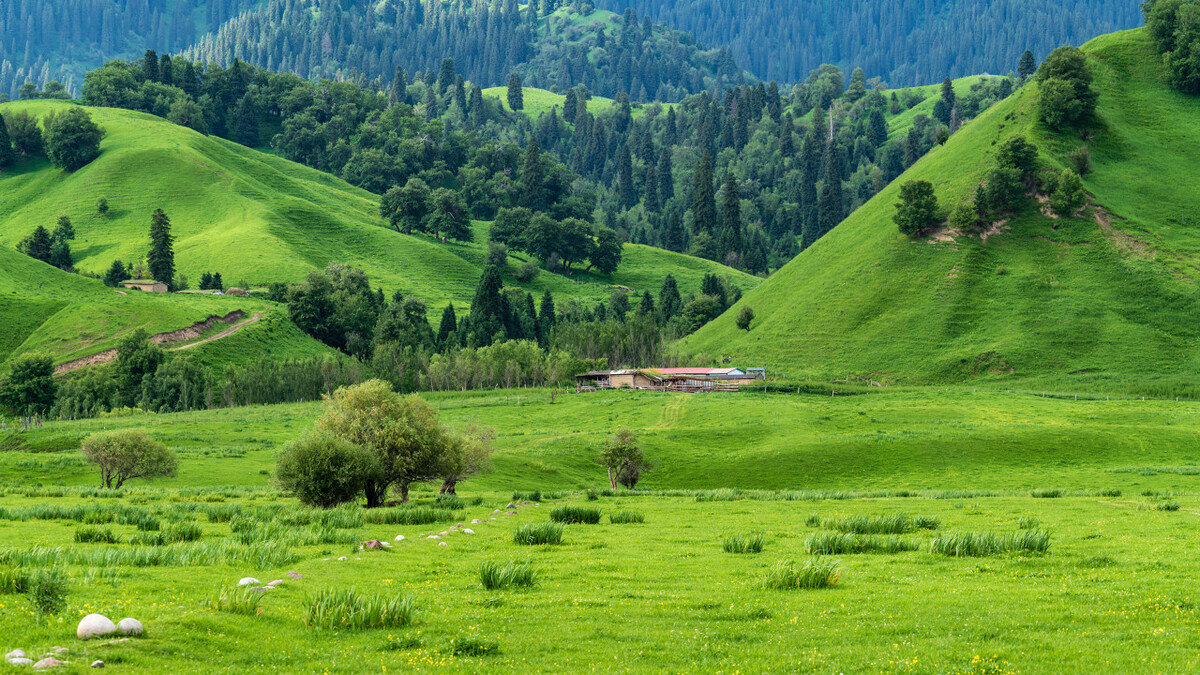 夏天自驾游最凉快的地方,旅游十大必去的地方中国夏天