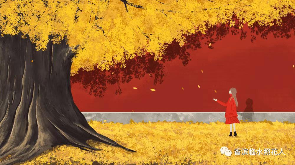 满分作文奋斗成就梦想,奋斗成就梦想小作文