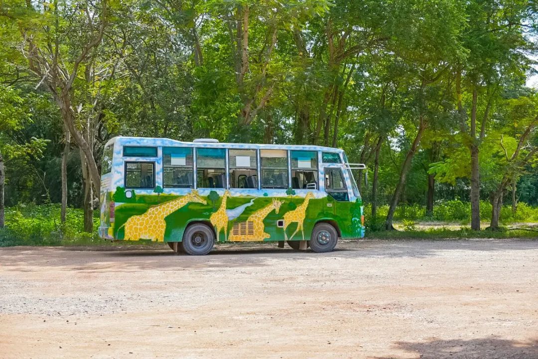 泰国曼谷旅游必去十大景区,泰国野生动物园亲子游