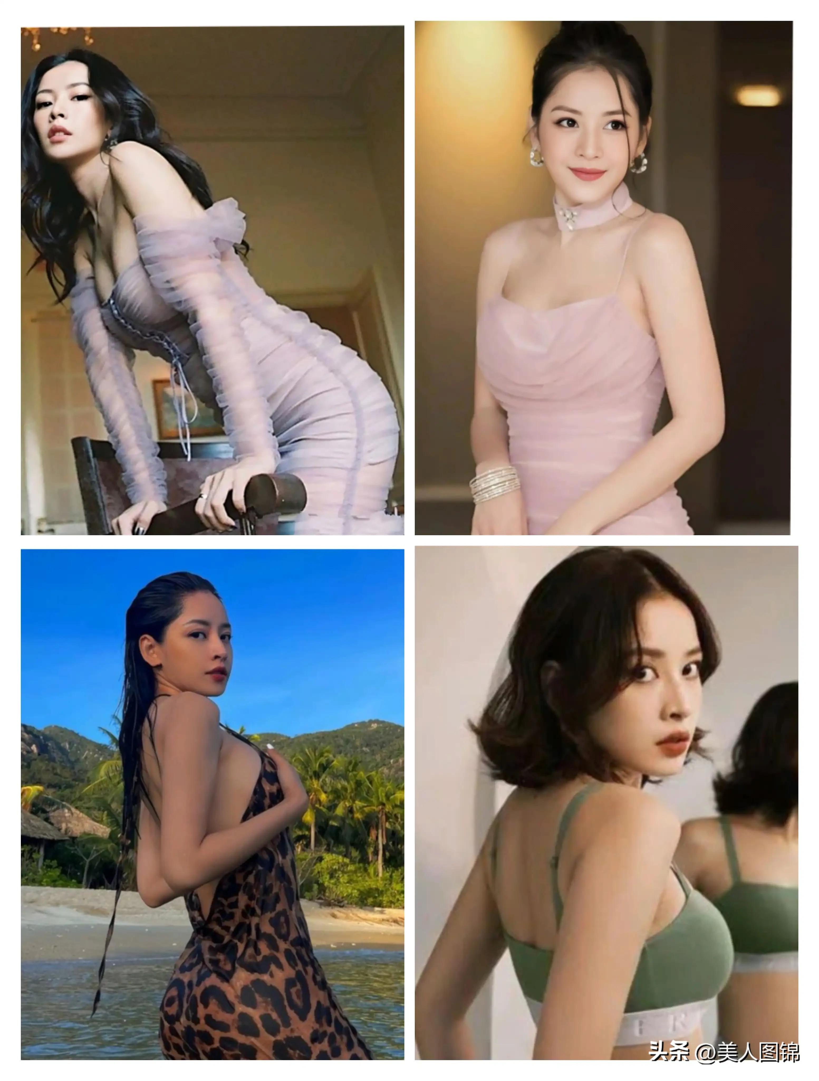 越南芝芙,芝芙越南