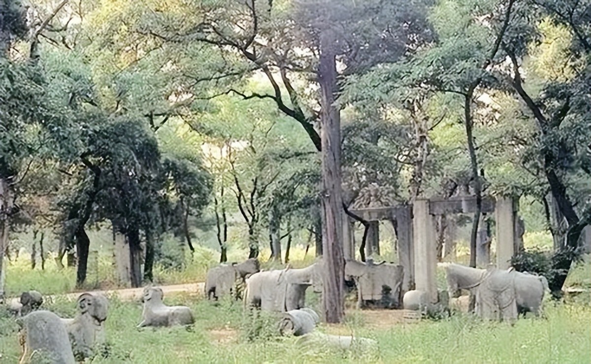山东孔林为何能乌鸦远避，蛇类不侵？老祖宗的智慧让人叹服