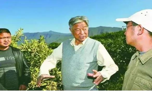 别再瞎操心了，王石与田朴珺这对“父女恋”早已活成了命运共同体