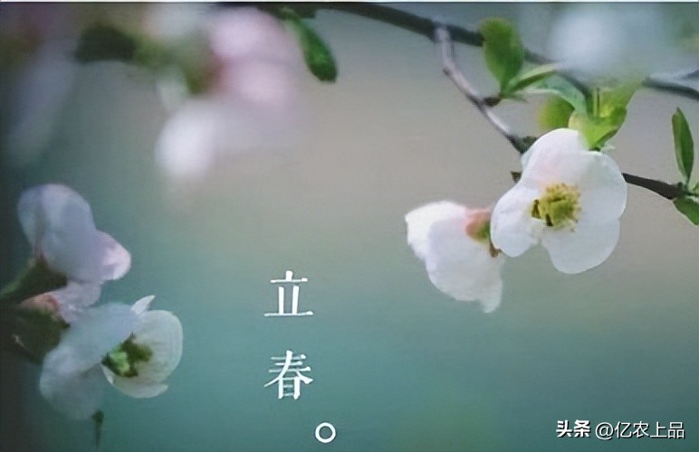 24节气立春从几号开始,24节气立春的意思和含义