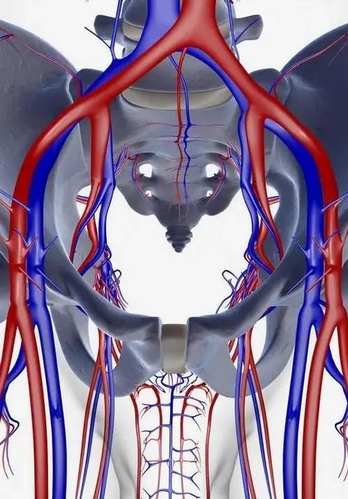 骨盆后环损伤后，新型螺钉的不同内固方法各有何优势？哪种方法好