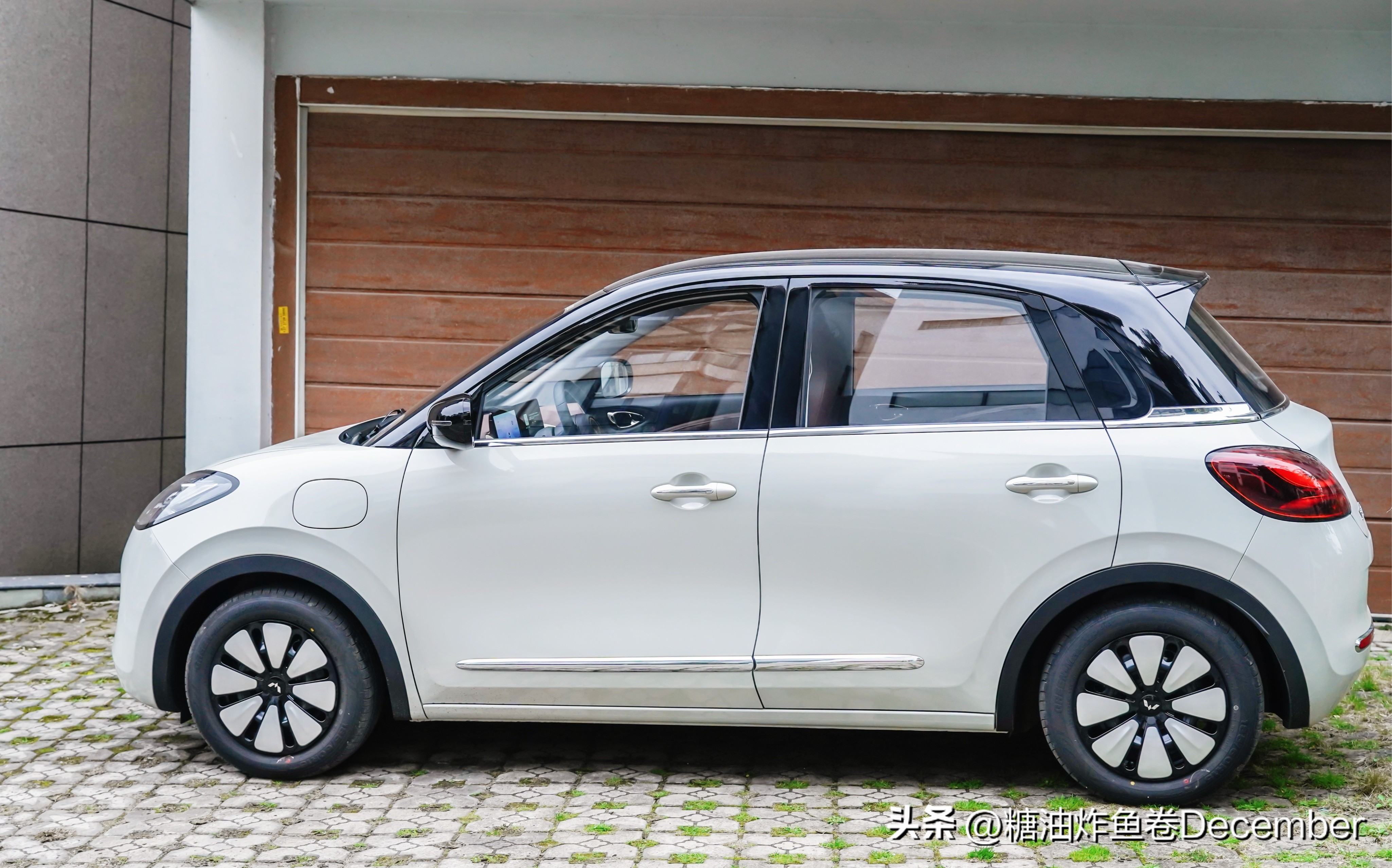 扶绥龙谷湾恐龙公园游玩攻略,扶绥龙谷湾恐龙公园在哪里