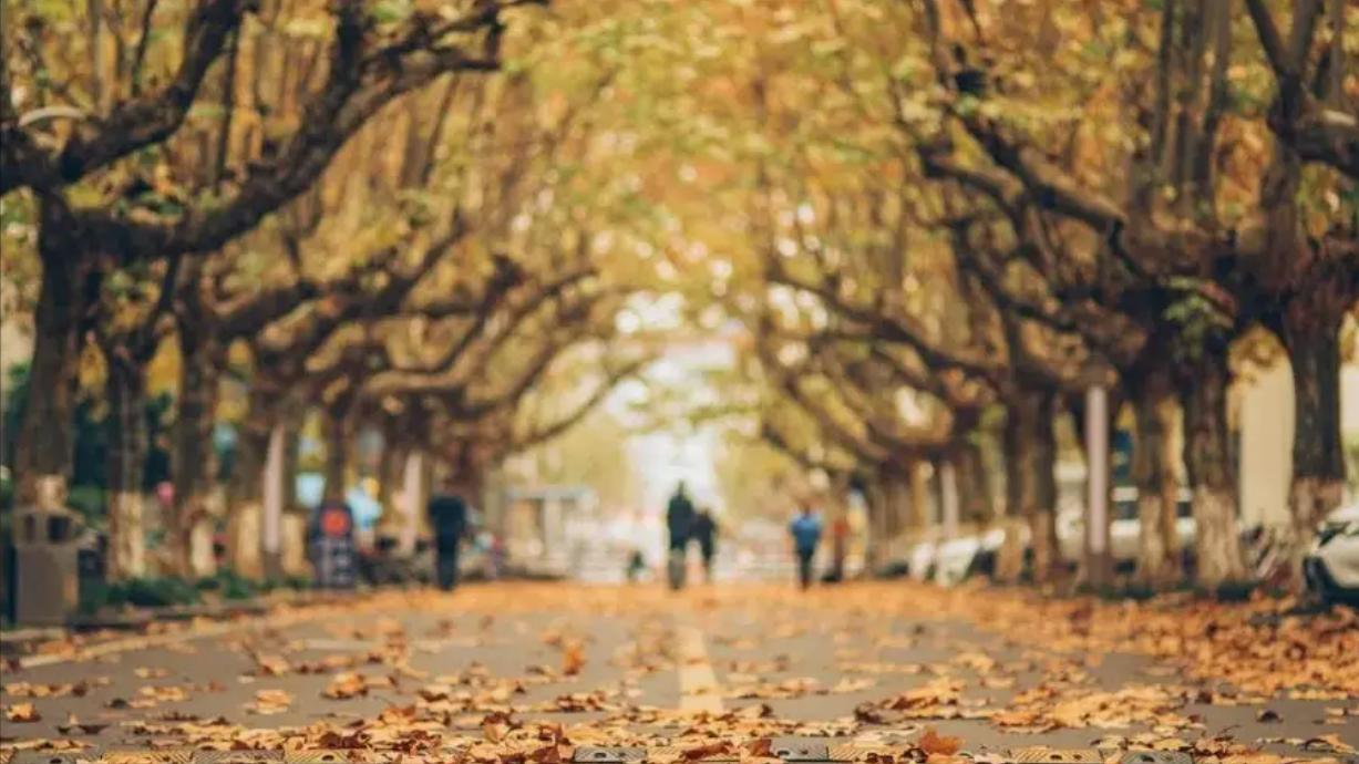 南京一座古迹之城,南京一座古代古都