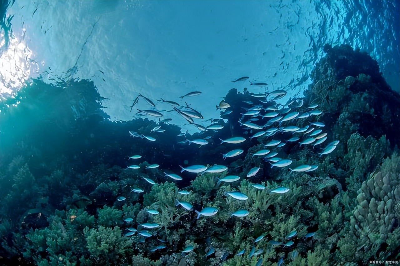 海底底质分类成果图,海底底质分类