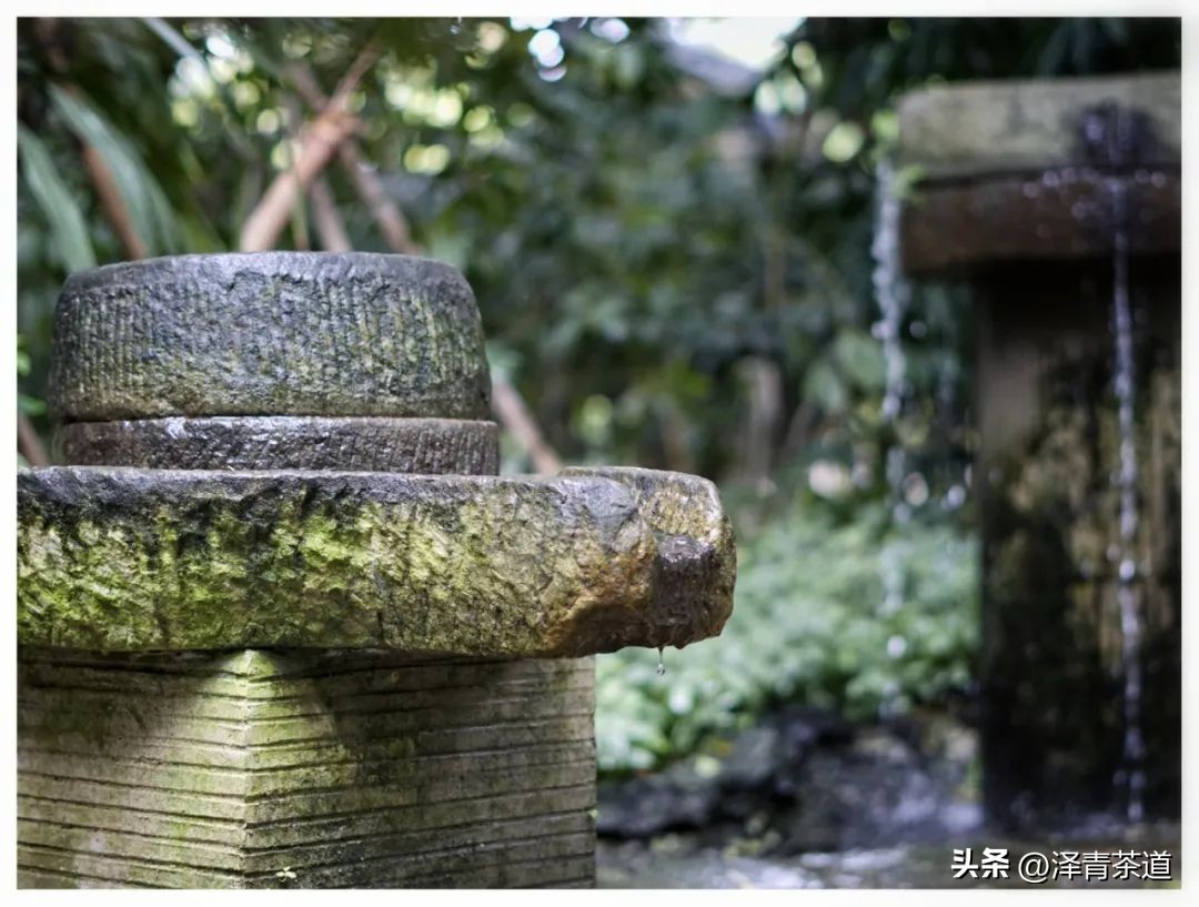 端午节如何吃粽子喝茶更健康,端午节吃粽子搭配茶解腻更健康