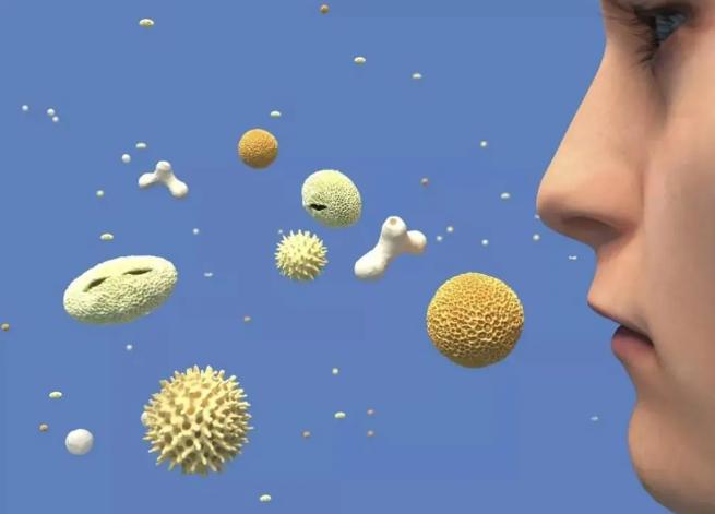 过敏性疾病的认识,过敏性鼻炎的流行病学