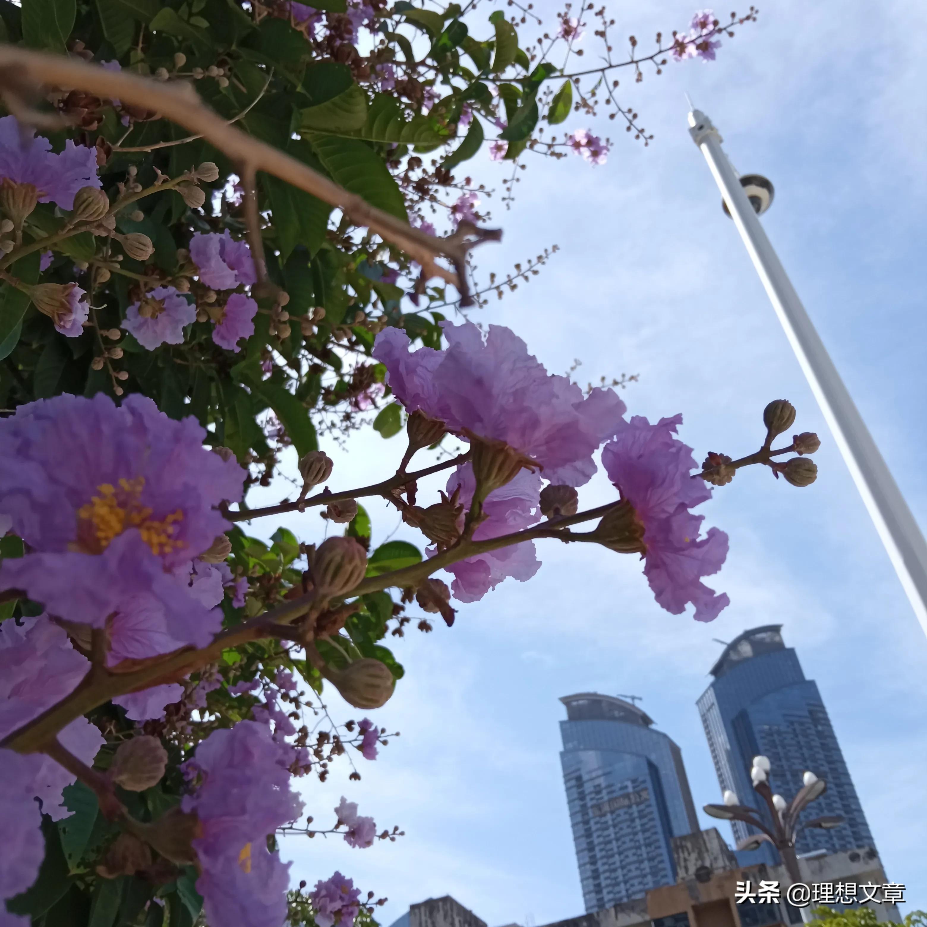 投资小利润高的创业项目有哪些,自主创业小项目投资少见效快