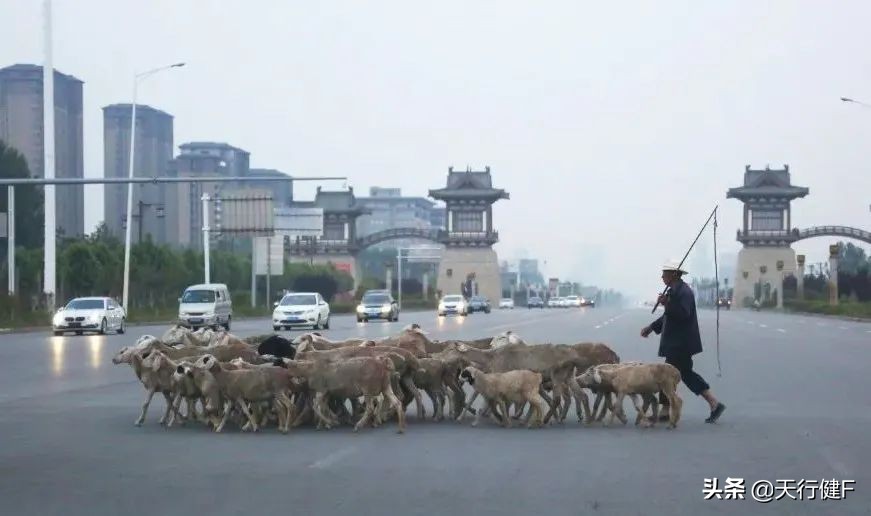 汽车投稿作品欣赏,汽车征文获奖