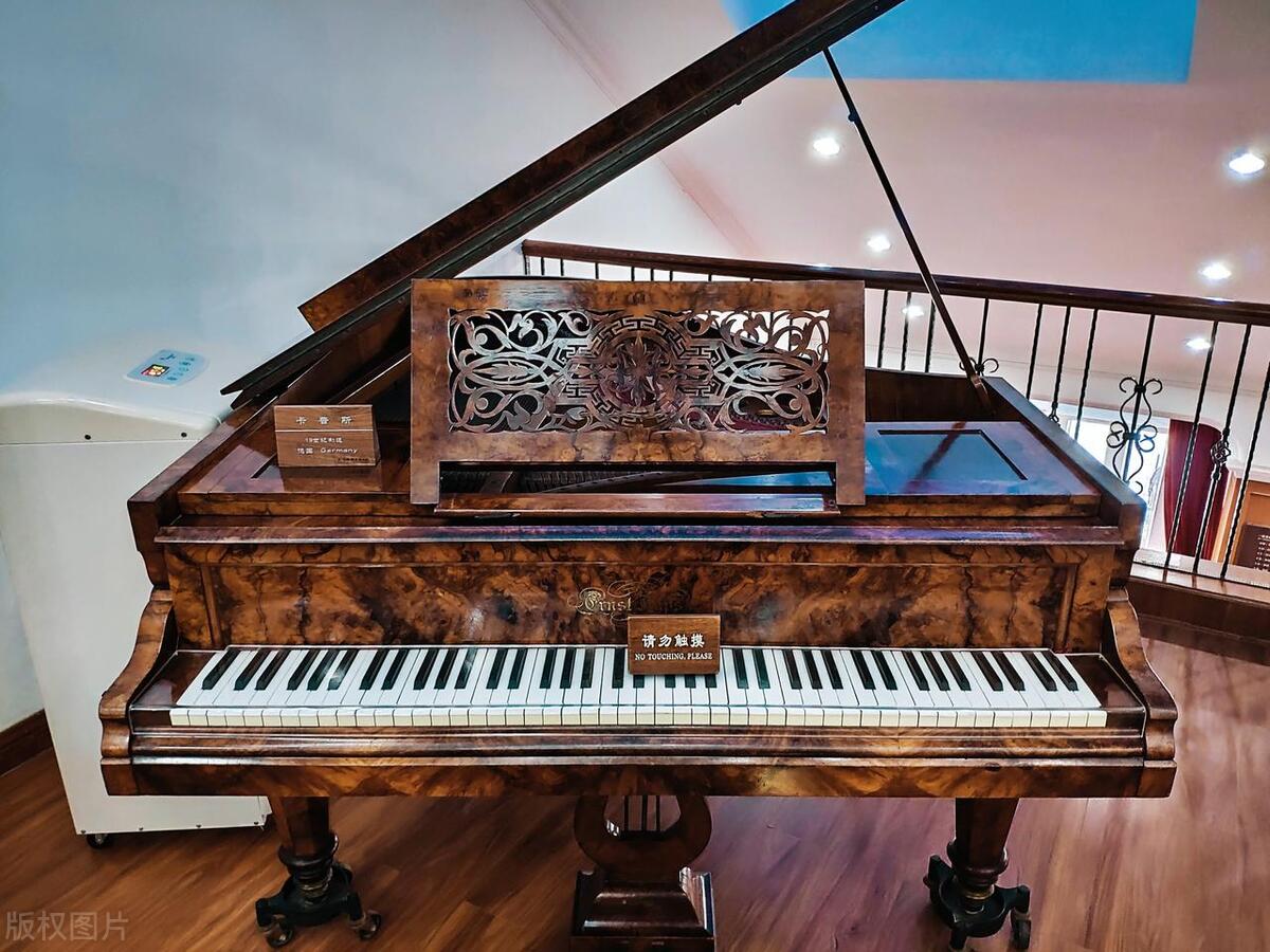 鼓浪屿亲子游攻略,鼓浪屿适合孩子游学打卡的地方