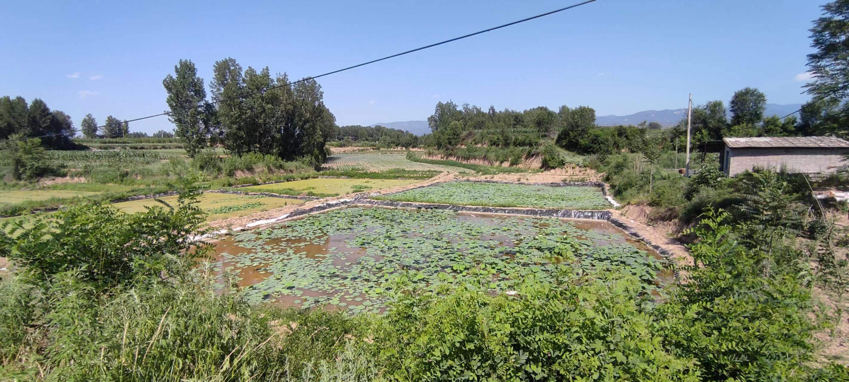 古中国考出彭蠡泽｜张笔魁