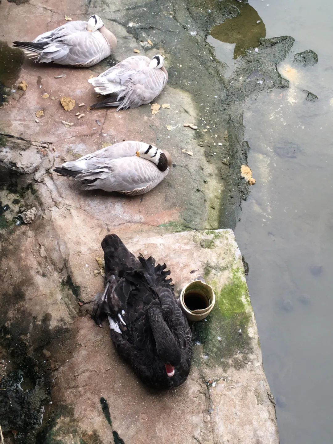 旭光电动车行,旭光车行向阳路