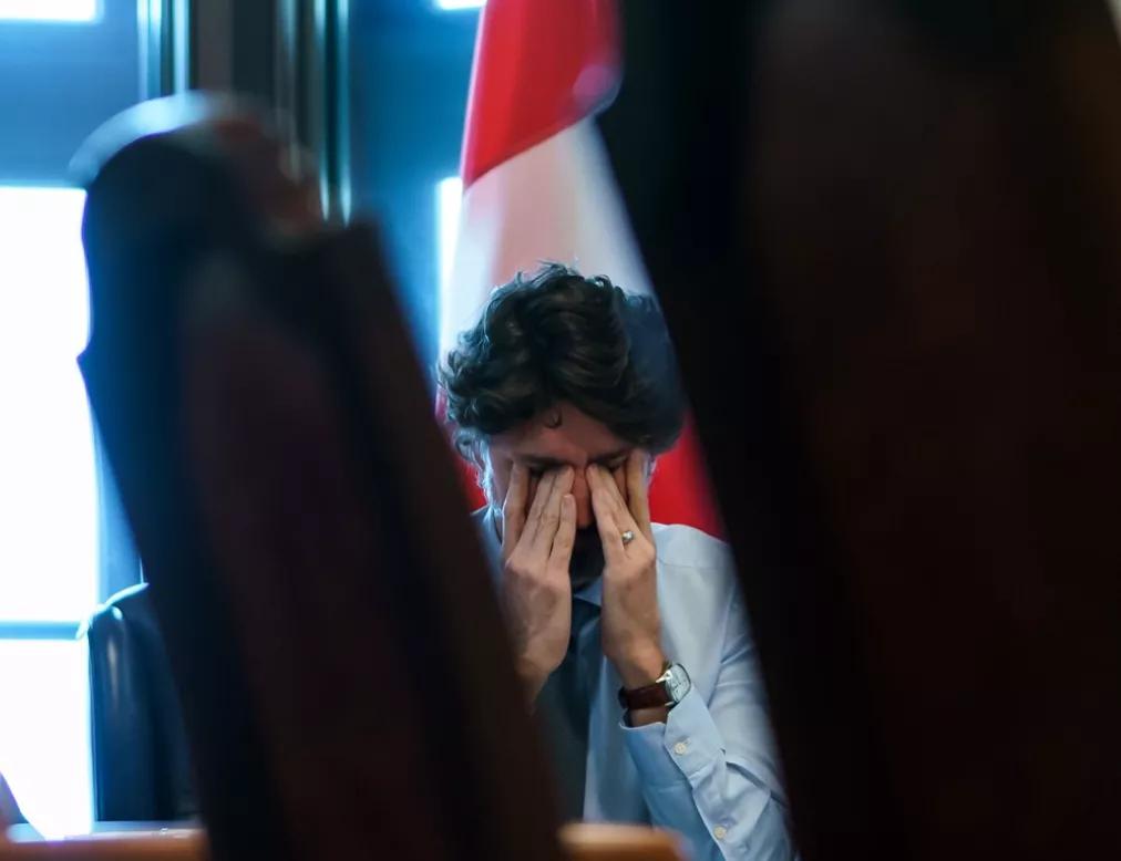 特鲁多个人图片,特鲁多贺新年