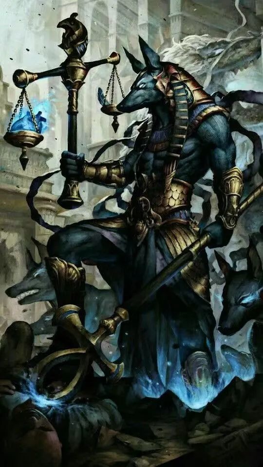 关于对狗肉的看法,关于对狗的评价