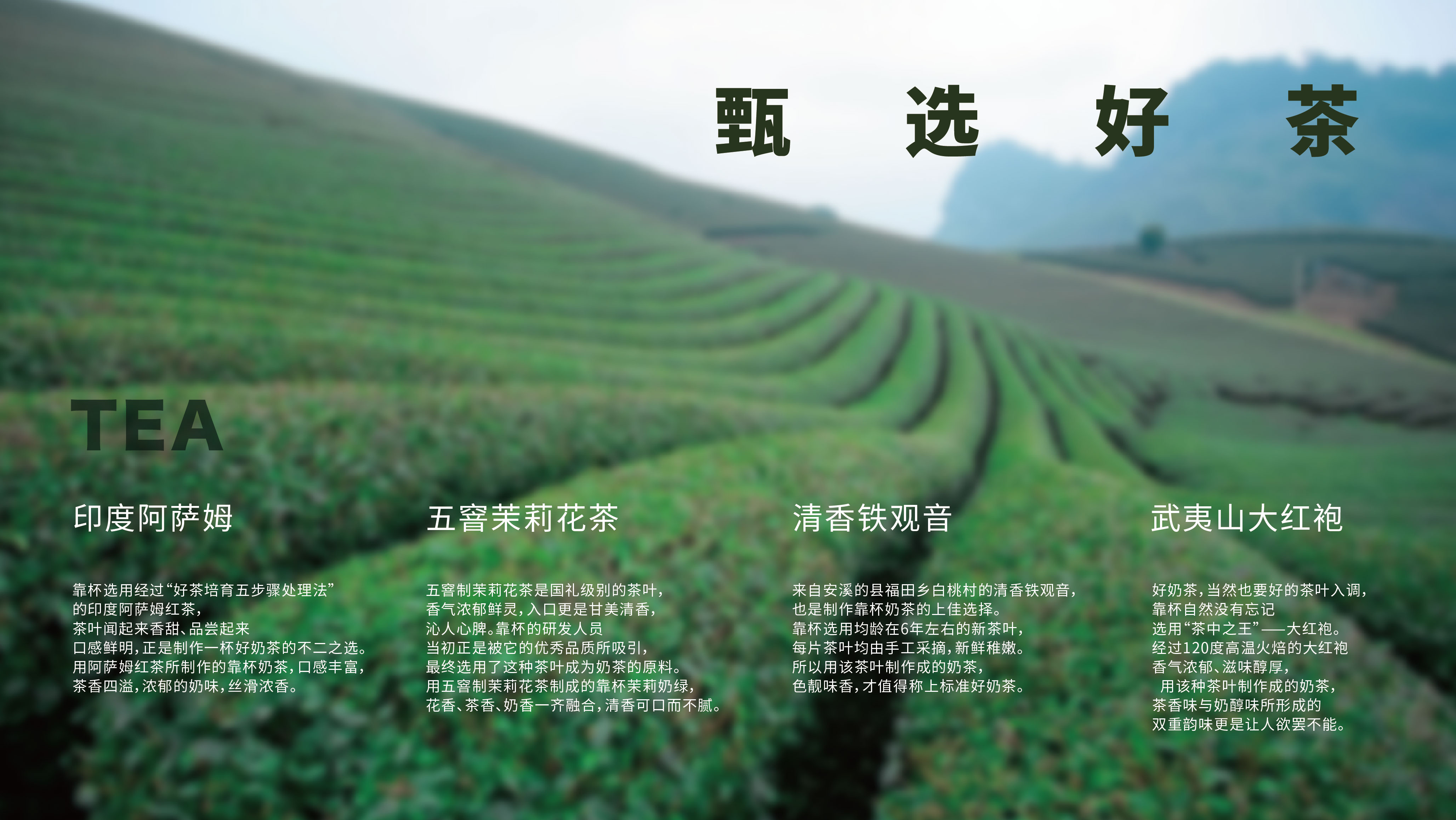 来一杯鲜果茶加盟赚钱吗,靠杯鲜果茶靠谱吗