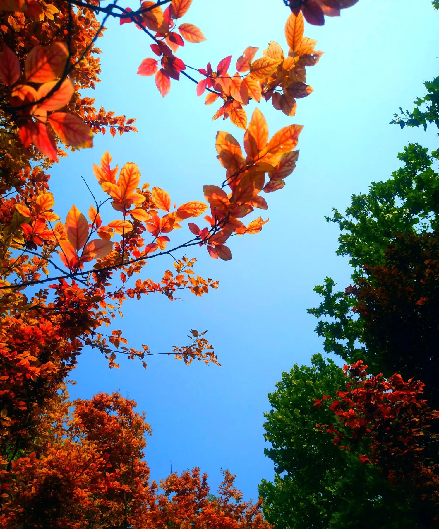 网信办治理自媒体乱象举报,自媒体乱象的案例最新