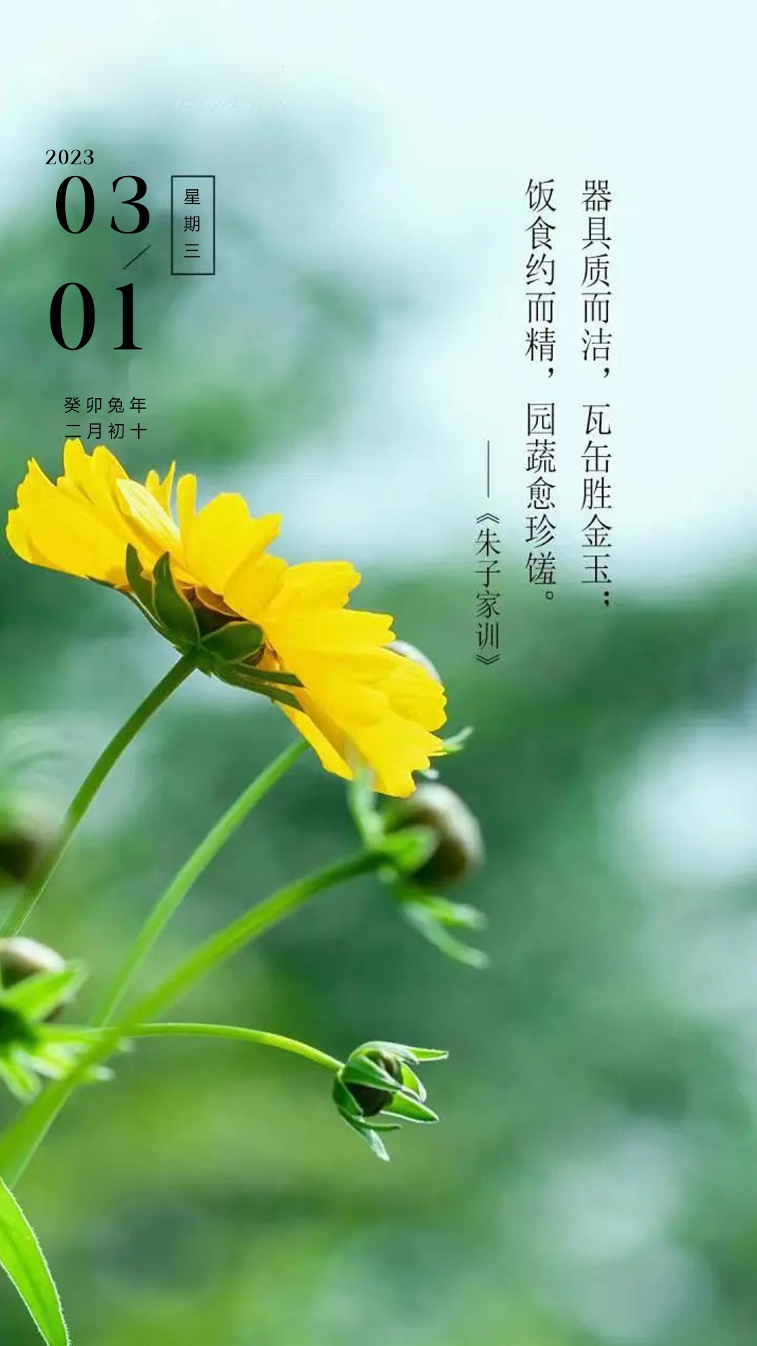 三月你好励志图片加文案,三月你好的文案加图片