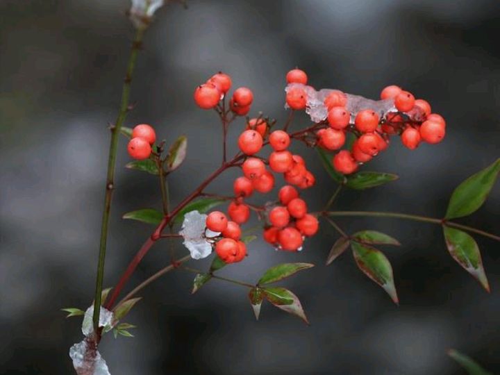 浜洪棿钖勫噳鍞忓槝涓嶅凡,浜洪棿钖勫噳澶╂动璺繙