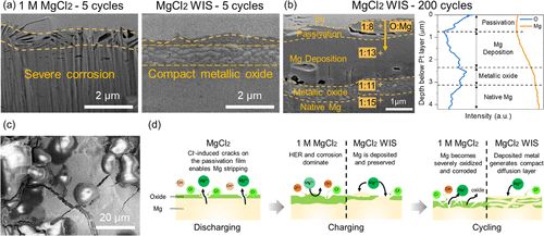 《ACSEnergyLett》盐包水电解质实现高压水系镁金属电池可逆性