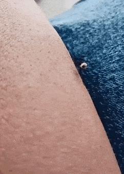 爆笑：以你们的智商，怎么能生意兴隆啊